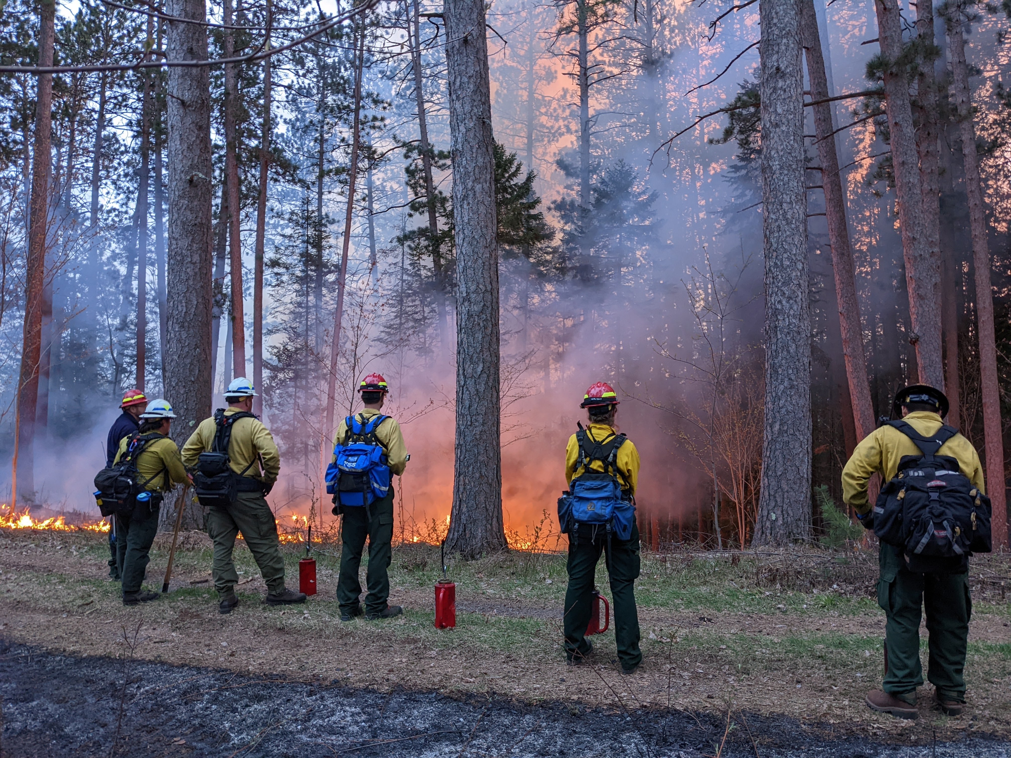 Controlled burn at the Cloquet Forestry Center at dusk. Photo by Lane Johnson.