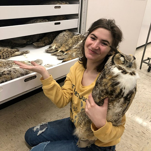 Netanya Sadoff with an owl specimen.