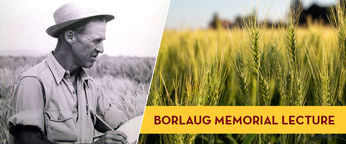 Norman Borlaug. 