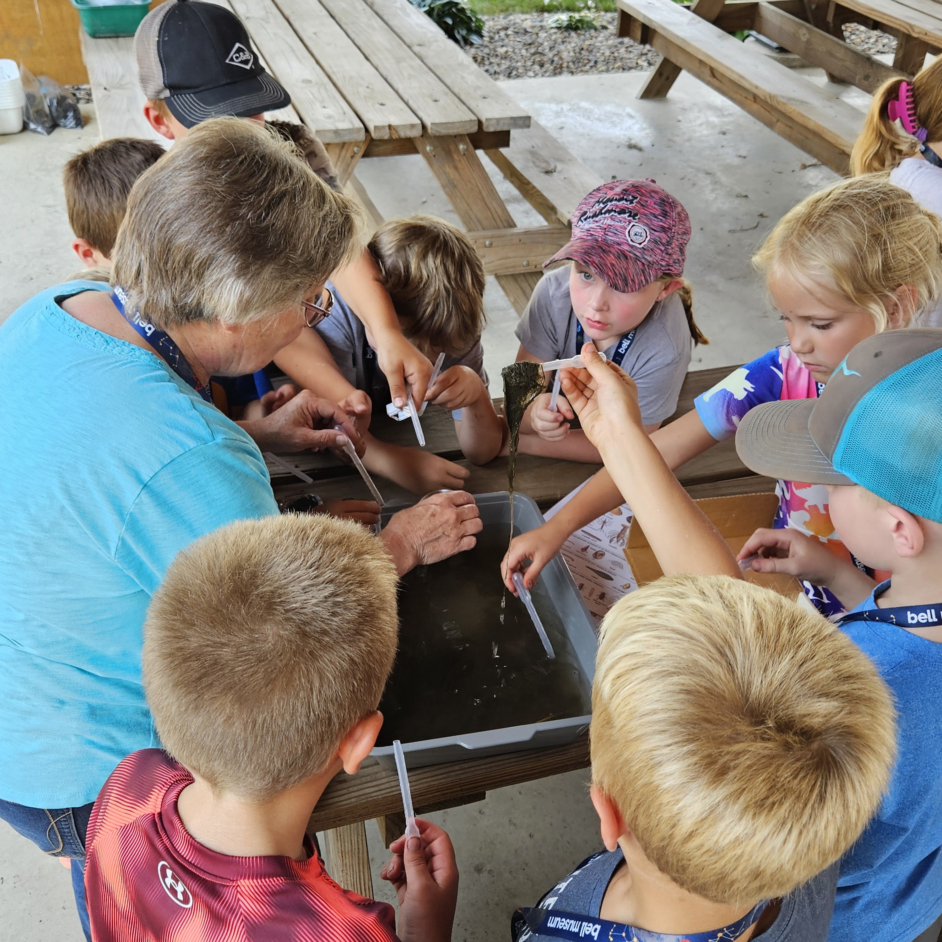 Campers gather around a tub of pond water to catch micro-invertebrates to study under a microscope.