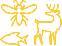 Icons of a fish, a bee, and a deer