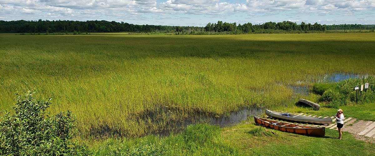 University and tribal partners doing Manoomin (wild rice) field research.