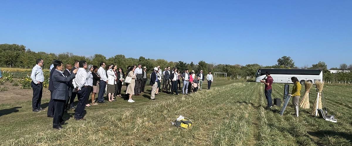 People outside in a Forever Green research field during the USDA FAS attache tour.