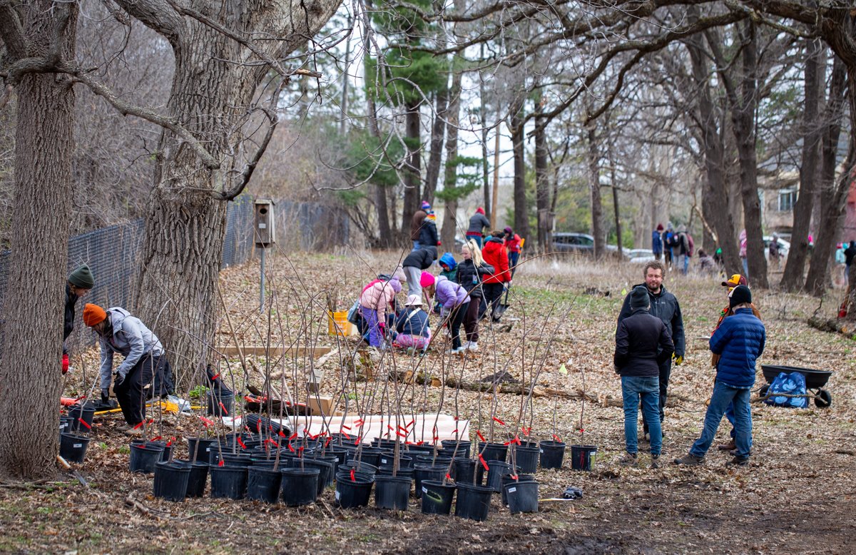 Green Crew volunteers on location at the Izaac Walton League - Minnesota Valley Chapter in Bloomington, MN.