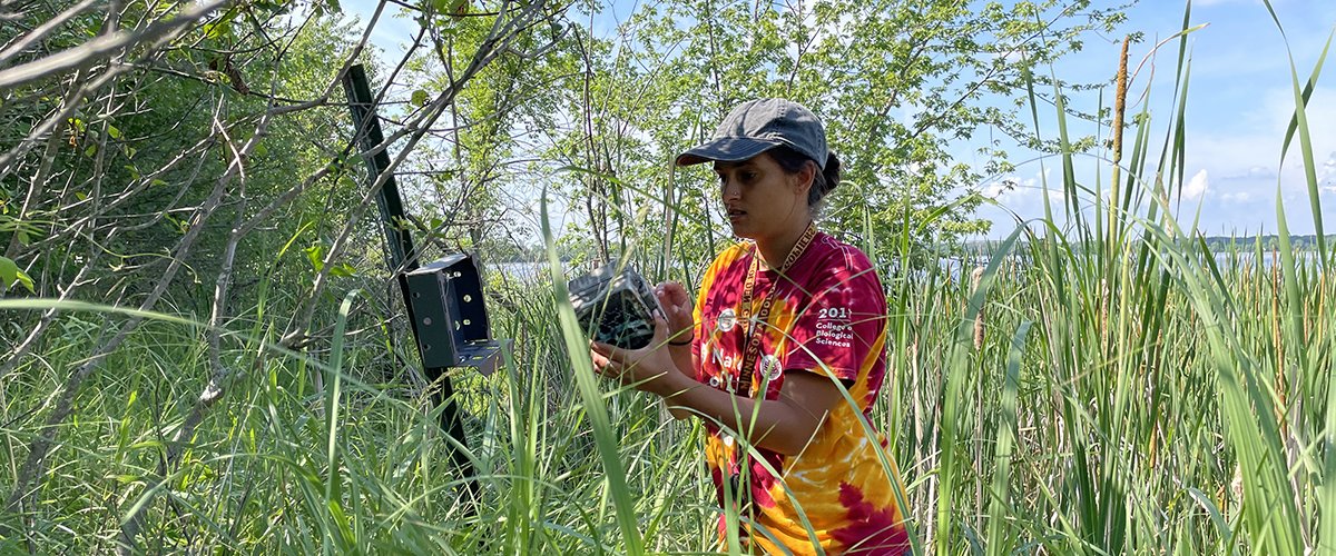 Maya Vellicolungara working in the field. 