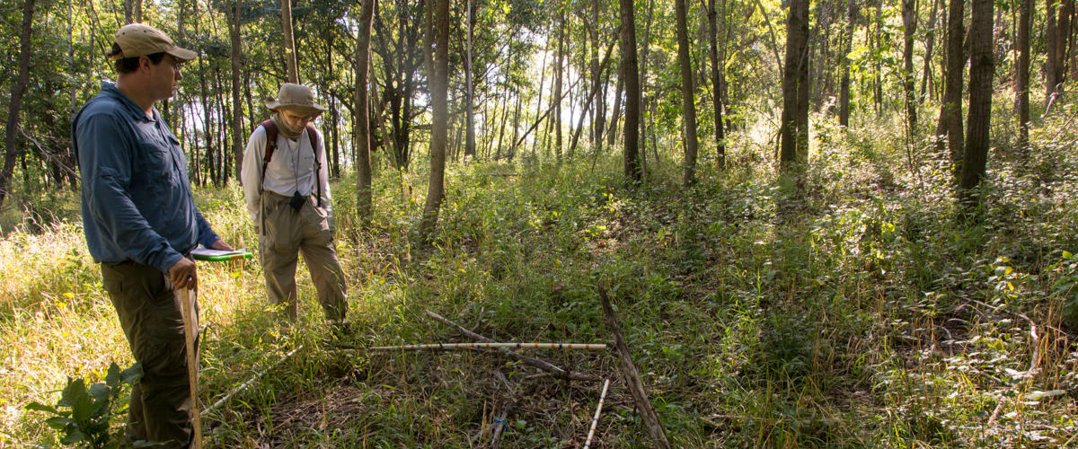 Buckthorn researchers