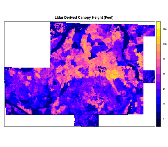 Canopy height model.