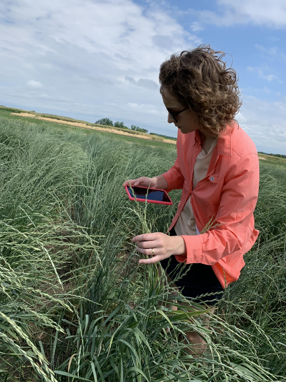 Hannah Stoll collecting field data.