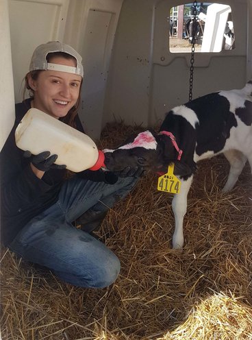 Leticia Dourado Clemente bottle feeding a calf.