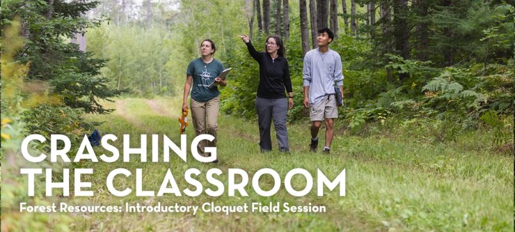 Students and a professor walking in a forest