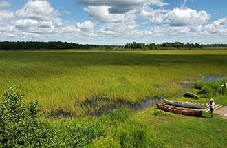 University and tribal partners doing Manoomin (wild rice) field research.