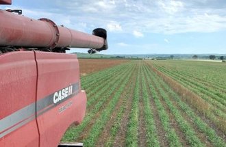 A red Case IH Harvester drives down a field with rows of green plants growing.