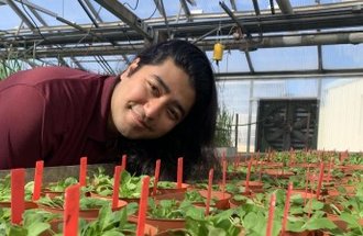 Zenith leans over their plants that are growing in a greenhouse.