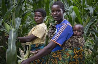 Adult wearing a baby alongside an older child.