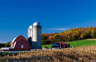 Barn and silos.