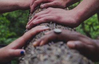 Hands on a tree.