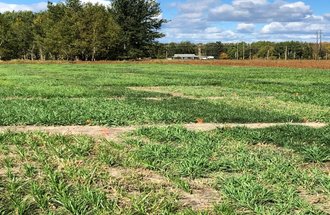 North Central Research and Outreach Center forage plot.