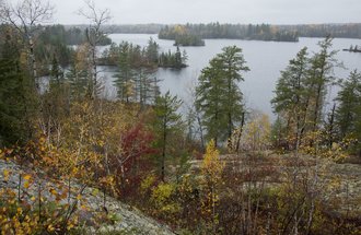 Trees and lake.