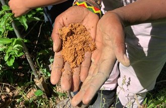 Open hands holding soil. 