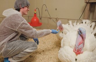 Peter Bina with Liberty and Bell turkeys