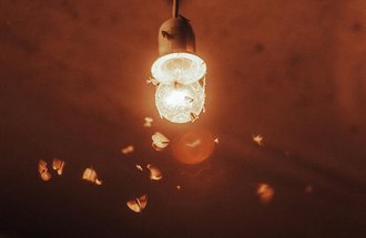 Moths fluttering around a light bulb.